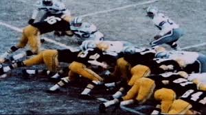 Image result for ice bowl pics