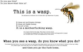 Best five noted quotes about wasp photograph German | WishesTrumpet via Relatably.com