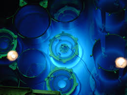 Image result for Miniature Nuclear weapons 4