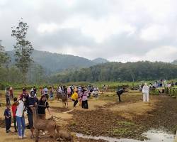 Image of Foto Candra di Ranca Upas