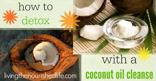 Image result for free images of coconuts and oil