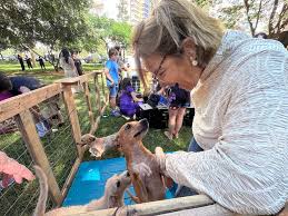 Goiânia recebe feira de adoção de Pets neste sábado (16)