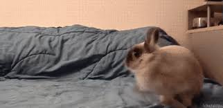 Resultado de imagen de energizer bunny gifs
