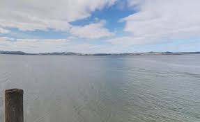 Search intensifies for man missing in water near Auckland
