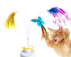 Cat toys for interactive playの画像