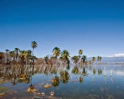 Imagen de Lago Enriquillo in Dominican Republic