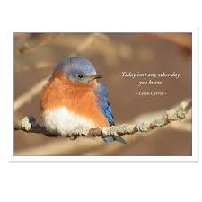 Bluebirds Quotes. QuotesGram via Relatably.com