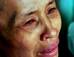 flood, central region, central vietnam, victims, death. Mrs. Nguyen Thi Thu Van in Binh Dong village, Nghia Ha commune, Tu Nghia District cried ... - 20131118115347-3