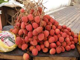 Image result for madagascar - 50 ko