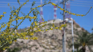 Clima Hermosillo