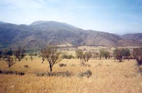 Resultado de imagem para savanas