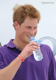 Prince Harry Polo Club. Is this Prince Harry the Actor? Share your thoughts on this image? - prince-harry-polo-club-794954844
