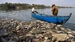 الصحة العراقية: لم تسجل أي