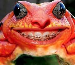 Image result for weird things