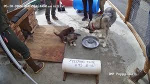 Trinity Rodman and Ben Shelton: A Courtside Romance