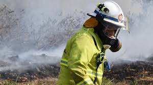 News source: The Courier Mail