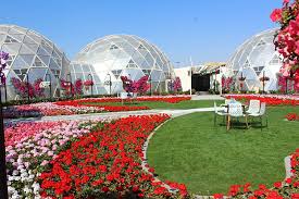 Image result for dubai tourism places