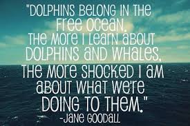 Quotes by Jane Goodall @ Like Success via Relatably.com