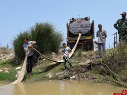 Image result for ‫رهاسازی 65میلیون بچه ماهی سفید‬‎