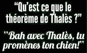 Résultat de recherche d'images pour "humour jeu"