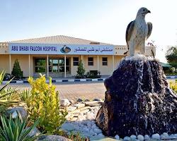 Abu Dhabi Falcon Hospital