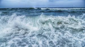 News source: Midi Libre