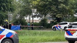 De Telegraaf - News update