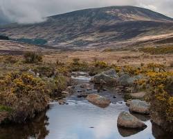 Imagen de las Montañas Wicklow