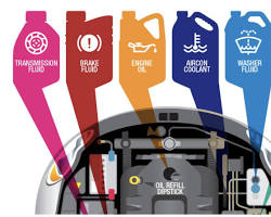 Image of Checking car fluids