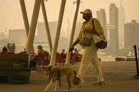 New York Smoke Alert: How Canadian Wildfires Pushed US Air Quality to the Brink? Survival Guide Behind airnow.gov Real-Time Map