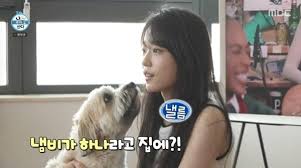 뉴스1 - News update