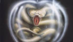 Image result for whitesnake album come an get it