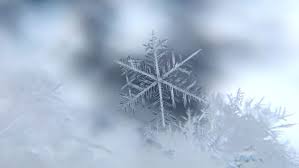 Morning 4: When is the snow expected to stop in Southeast Michigan today? -- and more news