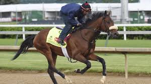 Image result for kentucky derby images 2016 ago
