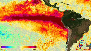 Súper El Niño: reportan récords de calor en el Pacífico y alertan por eventos climáticos extremos