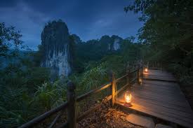 Travel And Tour World - News update