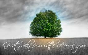 Quotes About Acorns And Oaks. QuotesGram via Relatably.com