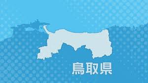 Yahoo!ニュース - News update