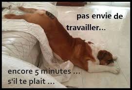 Résultat de recherche d'images pour "citation drole avec les minion"