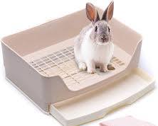 Rabbit litter box