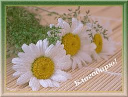 images?q=tbn:ANd9GcT46GjUMRXSiRyh3hxiQ98BhvyEkemBRyRGKWjfwttMN2IvFDBwrQ