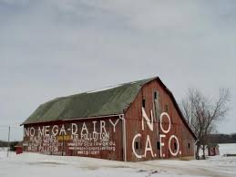 Image result for cafo