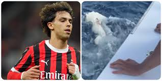 Il Fatto Quotidiano - News update
