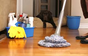 دليل شركات تنظيف المنازل بالرياض 0553249290 دليل شركات تنظيف البيوت بالرياض Images?q=tbn:ANd9GcT4FU_YtIKaRRqSYkzz7pIaIthF1OeOeeViIiXIJkAVKrDsjk0W