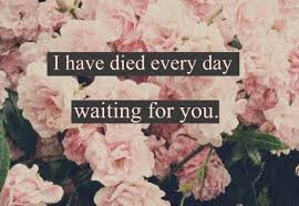 I Would Die For Love Quotes. QuotesGram via Relatably.com