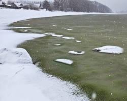 صورة frozen lake Czech Republic turn green