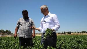 Gazete Vatan - News update