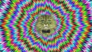 Image result for mind blowing pictures illusions
