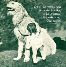 Pet Quotes, Poems, and Sayings on Pinterest | Dogs, Dog Quotes and ... via Relatably.com