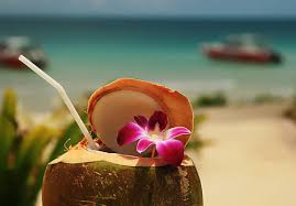 Image result for summer beach tumblr photography